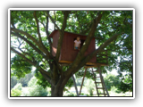 Spielhaus auf dem Baum