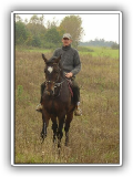 Marek Lewandowski auf dem Pferd Kaszmir (wlkp)